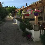 Oasis فندق