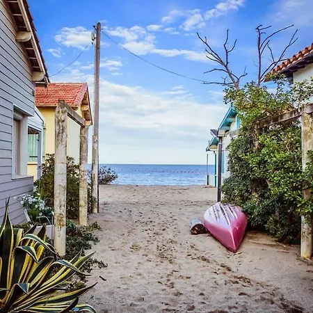 Oasis * 아르젤레쉬르메르