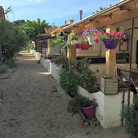 Oasis Hotel *