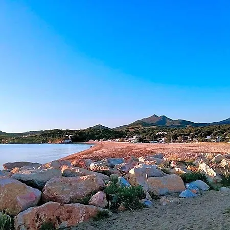 Oasis