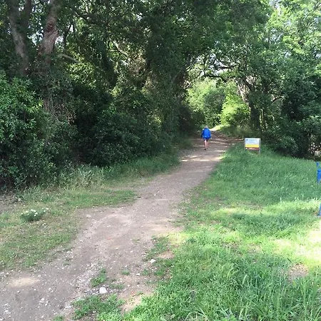 Oasis * Argelès-sur-Mer