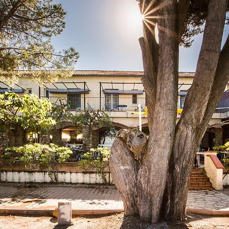 Oasis 호텔 아르젤레쉬르메르